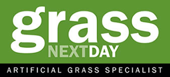 Grass Nex Day